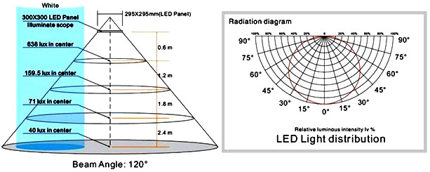 LED Bulbs