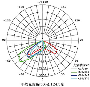 BL 500 LED Street Light